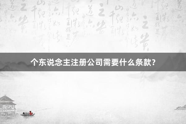 个东说念主注册公司需要什么条款?